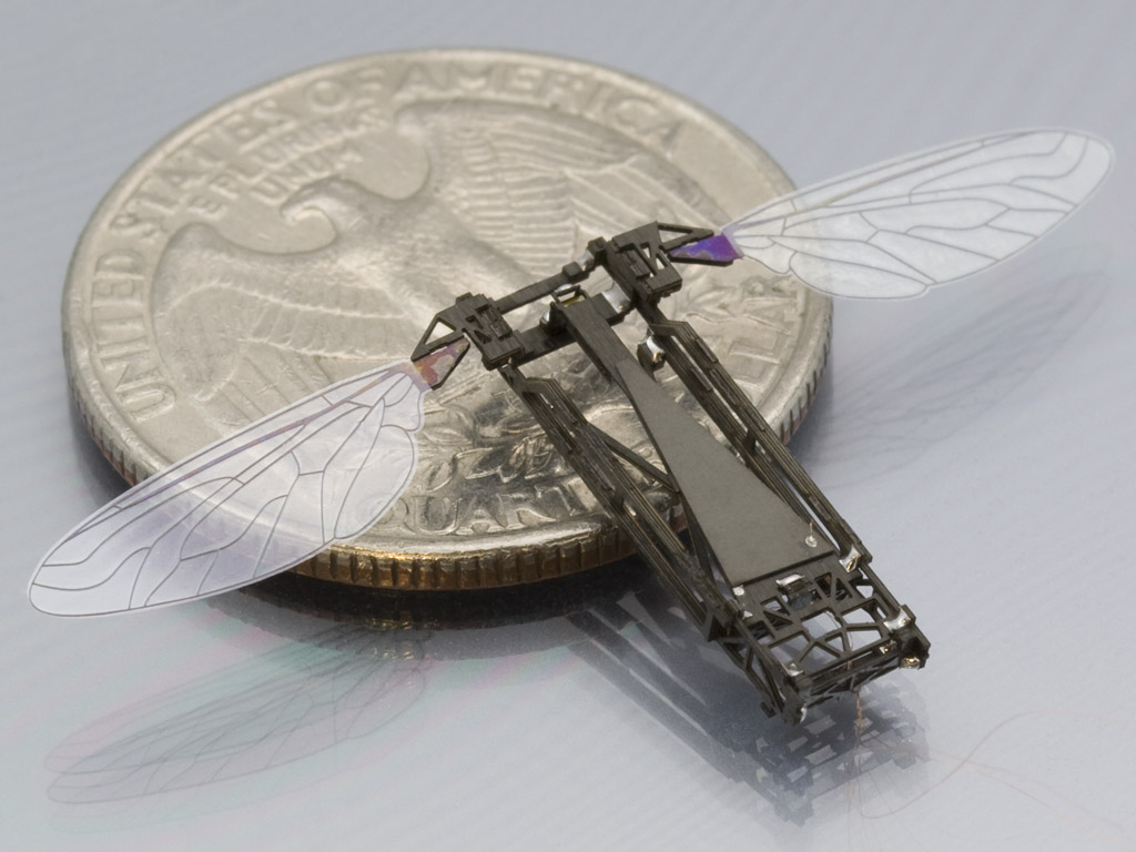 RoboBee Flying Micro Robot